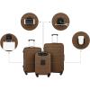 Wrangler 20″ Smart Spinner Carry-On Luggage With Usb Charging Port(Toffee)
